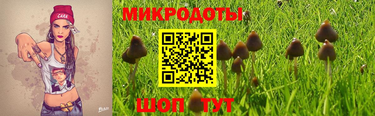 Галлюциногенные грибы мухоморы Гатчина