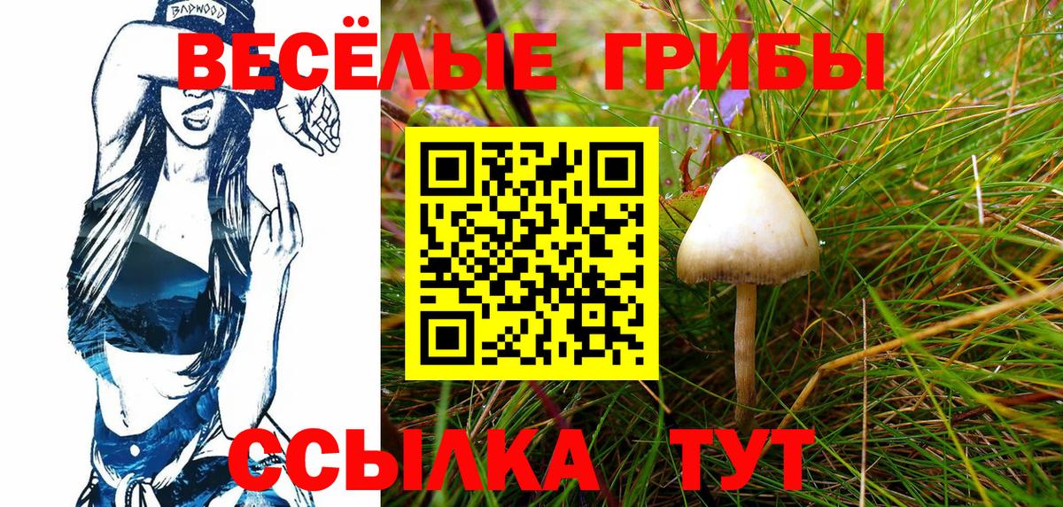 Галлюциногенные грибы Cubensis  сколько стоит  Гатчина  Вход с VPN 